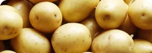 El Secreto Detrás de Nuestras Patatas: Una Tradición de Sabor
